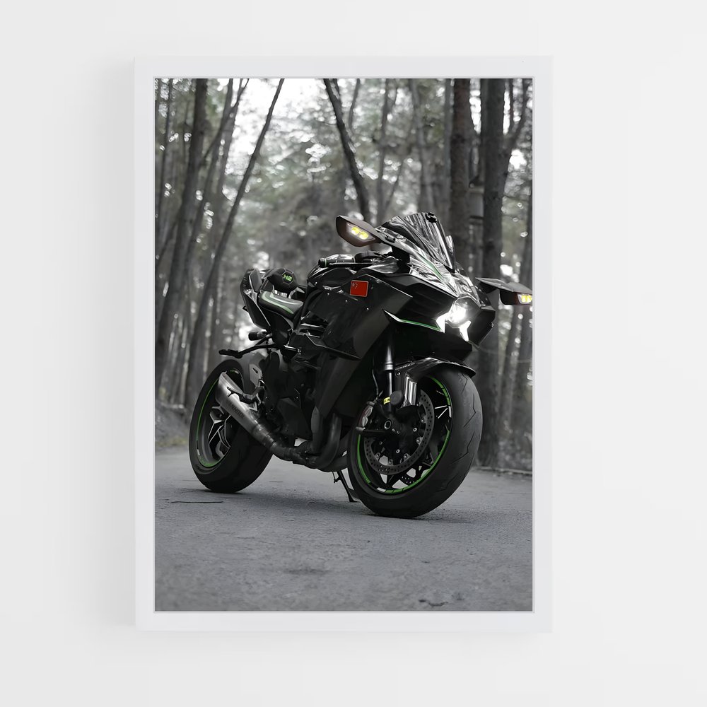 Poster Ninja élégant hr (vue 3)